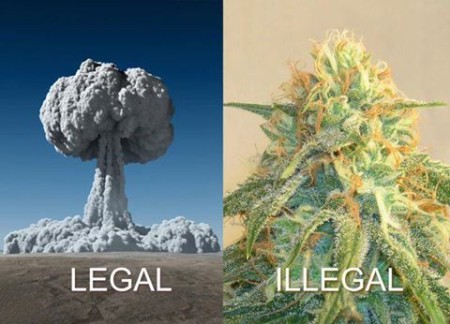 “Legal. Illegal.”