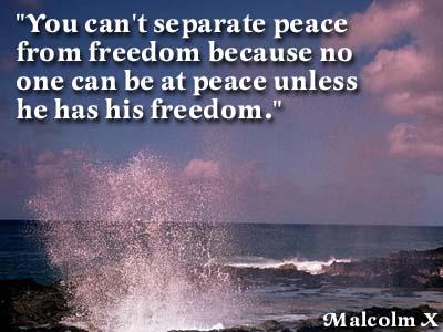 "You can't separate peace from freedom because no one can be at peace unless he has his freedom." - Malcolm X