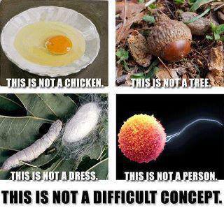 "This is not a chicken. This is not a tree. This is not a dress. This is not a person. This is not a difficult concept."