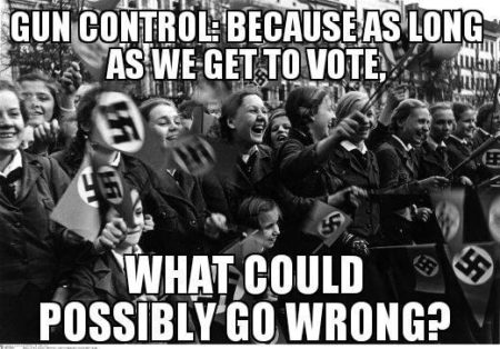"Gun control: Because as long as we get to vote, what could possibly go wrong?"
