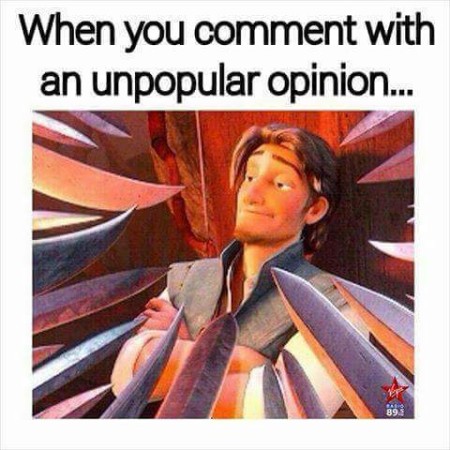 "When you comment with an unpopular opinion..."