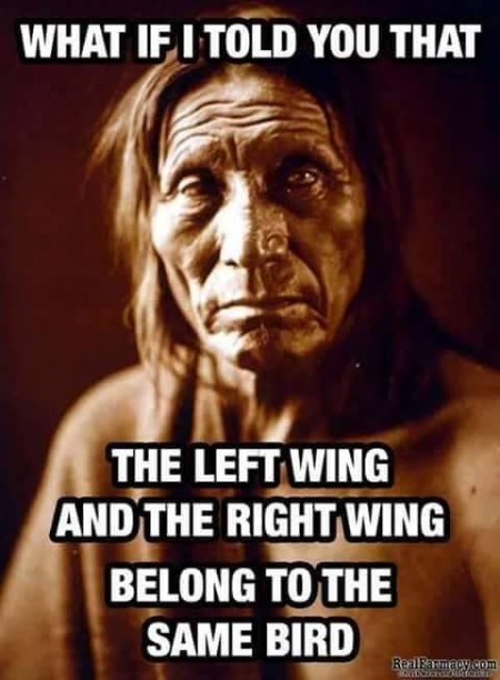 “What if I told you that the left wing and the right wing belong to the same bird?”