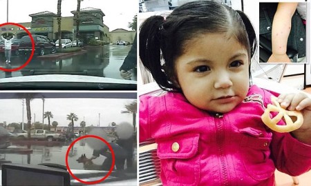 Police dog bite victim, 17-month old Ayleen Arenas-Alvarez