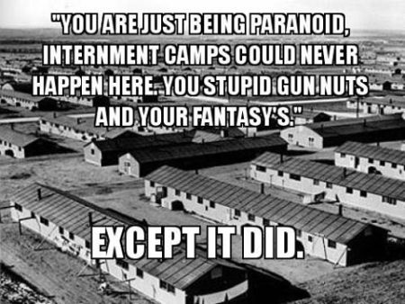 "'Your are just being paranoid, internment camps could never happen here. You stupid gun nuts and your fantasies.' Except it did."