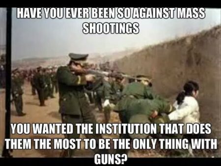 "Have you ever been so against mass shootings... You wanted the institution that does them the most to be the only thing with guns?"