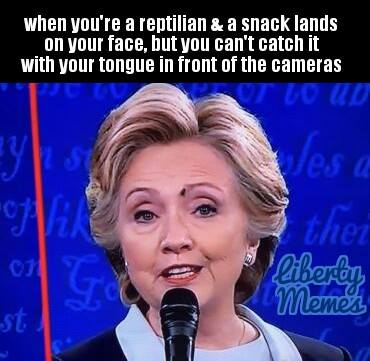 "When you're a reptilian & a snack lands on your face, but you can't catch it with your tongue in front of the cameras"